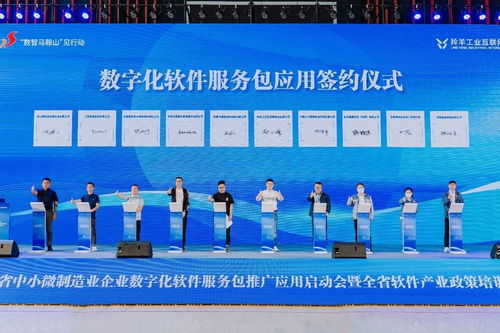 數(shù)字賦能 智造未來 安徽省中小微制造業(yè)企業(yè)數(shù)字化軟件服務(wù)包推廣應(yīng)用在馬鞍山啟動
